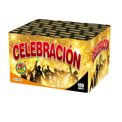 CELEBRACION 100 TIROS